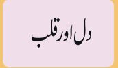 Dil O Qalb
