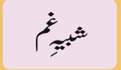 Shabe E Gam